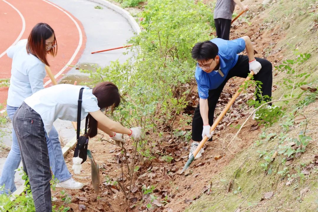 珠海市创沃中等职业学校