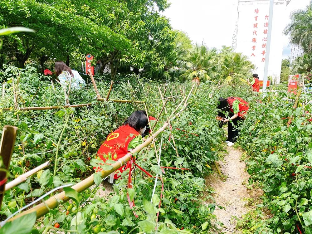 珠海市创沃中等职业学校(原珠海一职实验学校) 珠海市创沃中等职业学校(原珠海一职实验学校)
