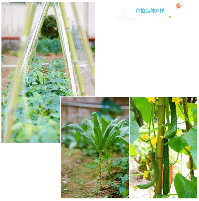珠海市创沃中等职业学校(原珠海一职实验学校) 珠海市创沃中等职业学校(原珠海一职实验学校)